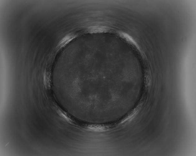 X0000084521217200703021348