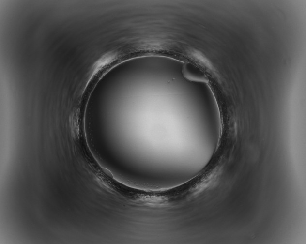 X0000084521218200703021348