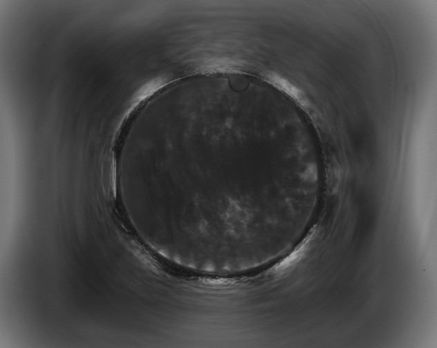 X0000084521219200703021348