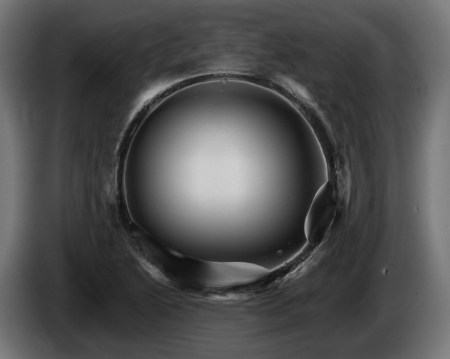 X0000084521222200703021348