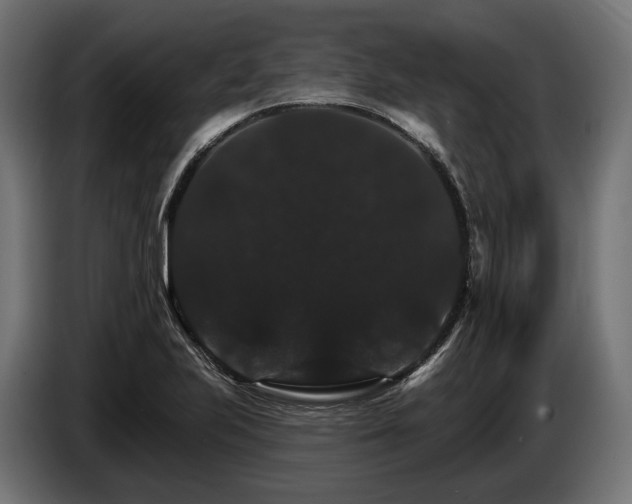 X0000084521223200703021348