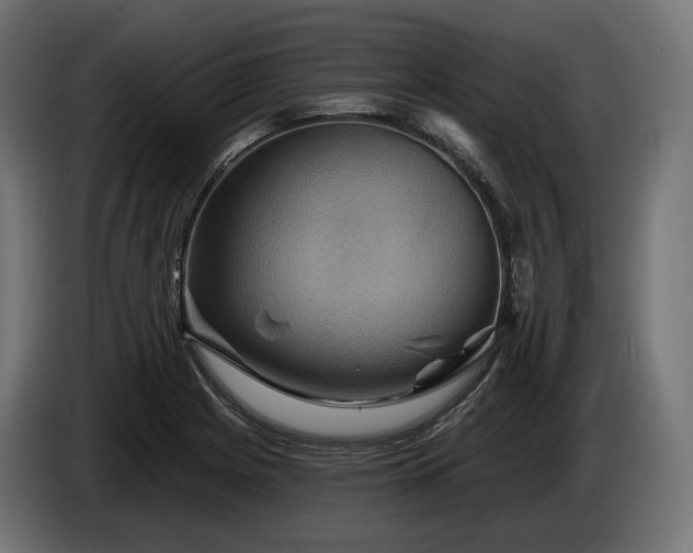 X0000084521225200703021348