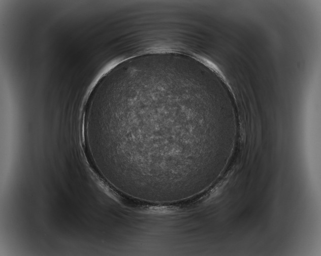 X0000084521227200703021348