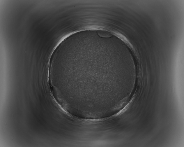 X0000084521228200703021348