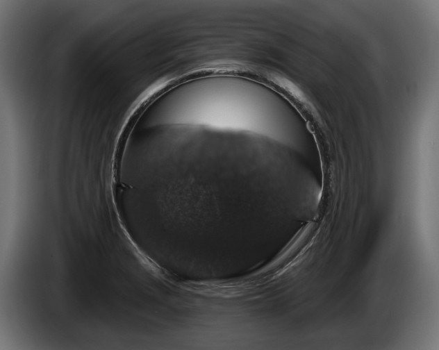 X0000084521229200703021348