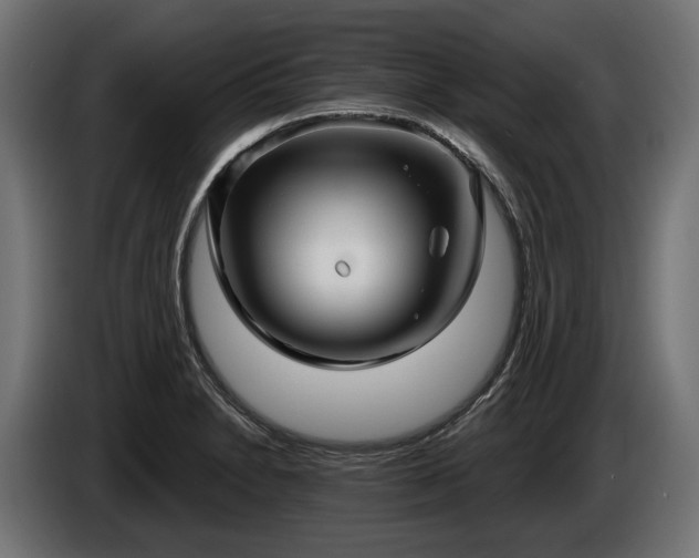 X0000084521230200703021348