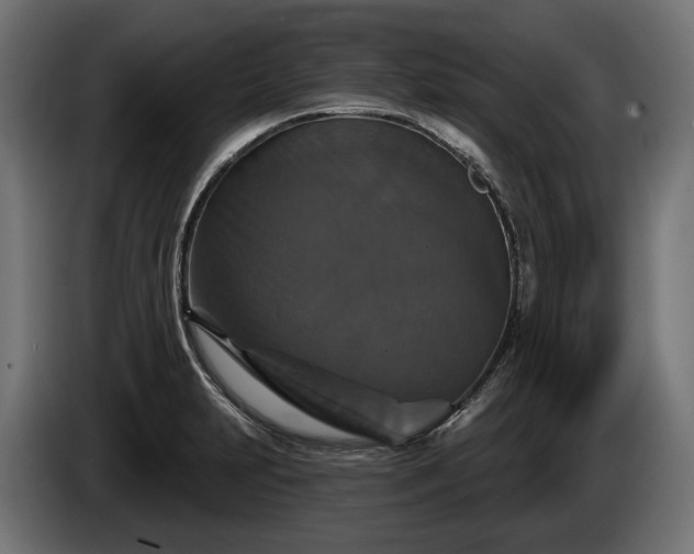 X0000084521231200703021348