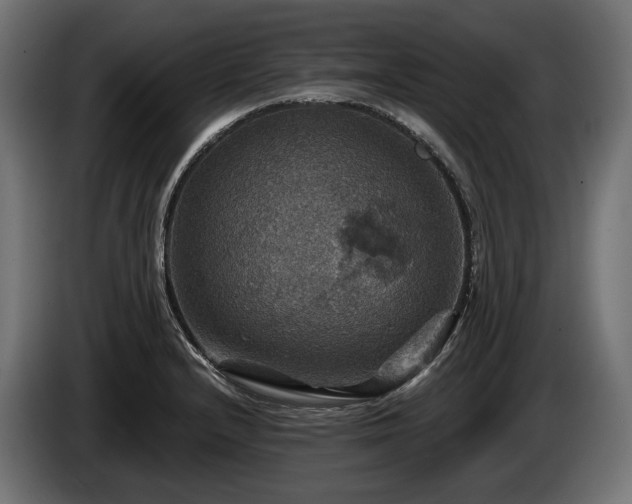 X0000084521232200703021348