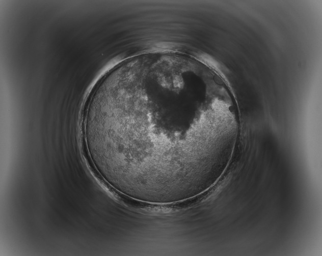 X0000084521235200703021348