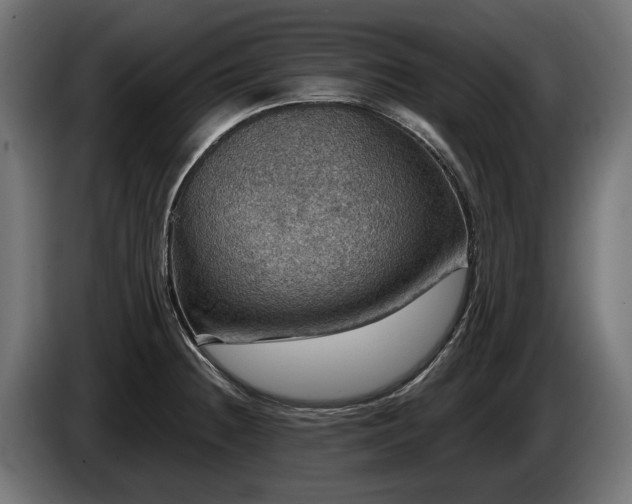 X0000084521236200703021348