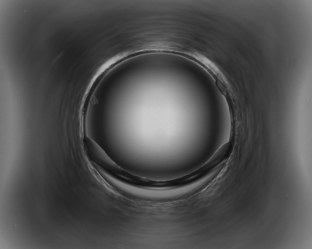 X0000084521238200703021348