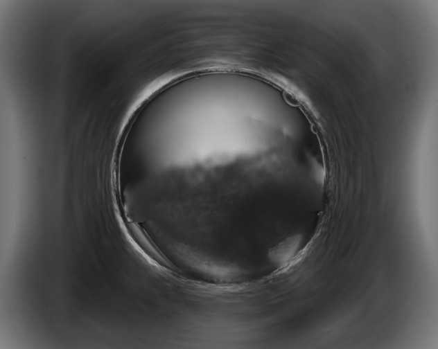 X0000084521239200703021348