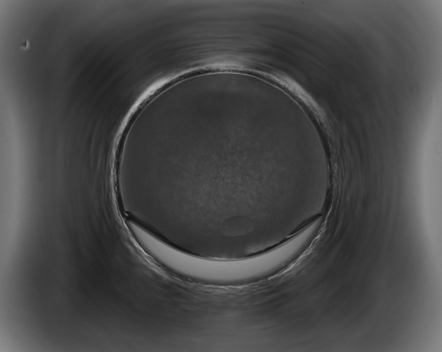 X0000084521240200703021348