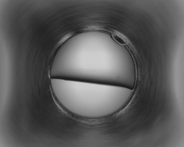 X0000084521241200703021348