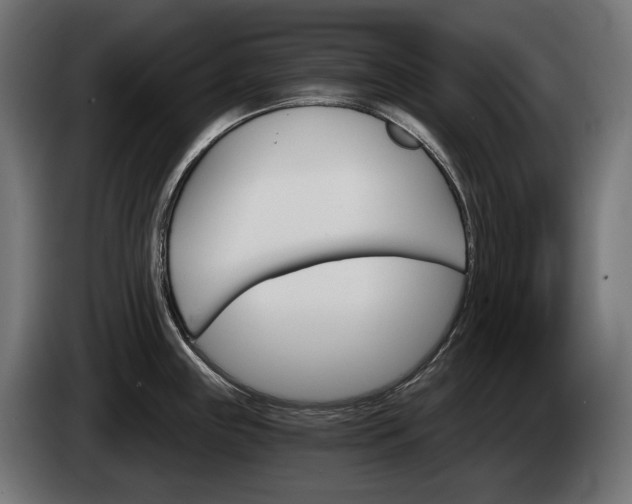 X0000084521243200703021348