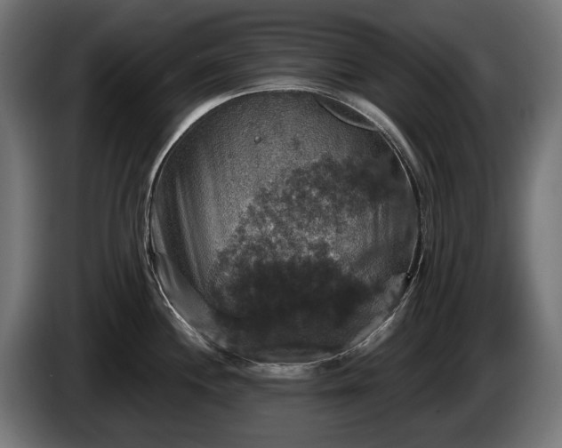 X0000084521244200703021348