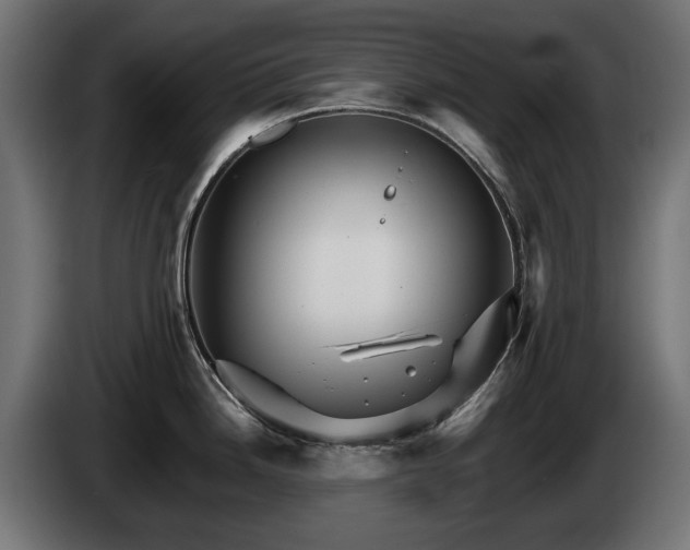 X0000084521246200703021348