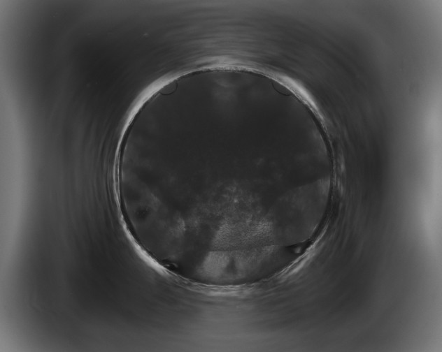 X0000084521247200703021348