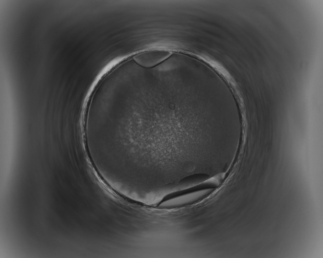 X0000084521248200703021348