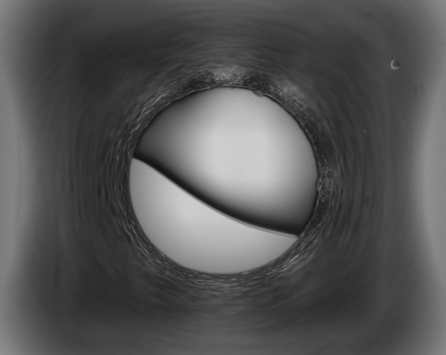 X0000084521249200703021348