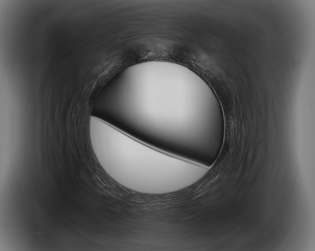 X0000084521250200703021348