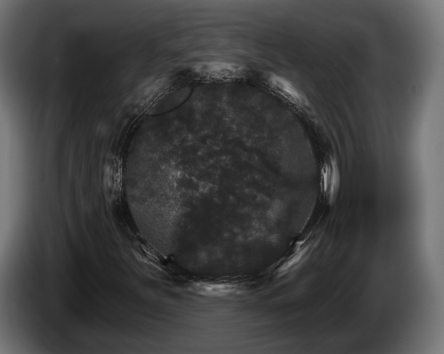 X0000084521251200703021348