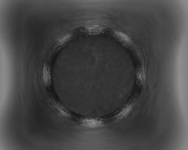 X0000084521252200703021348