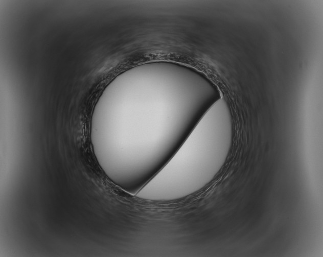 X0000084521253200703021348