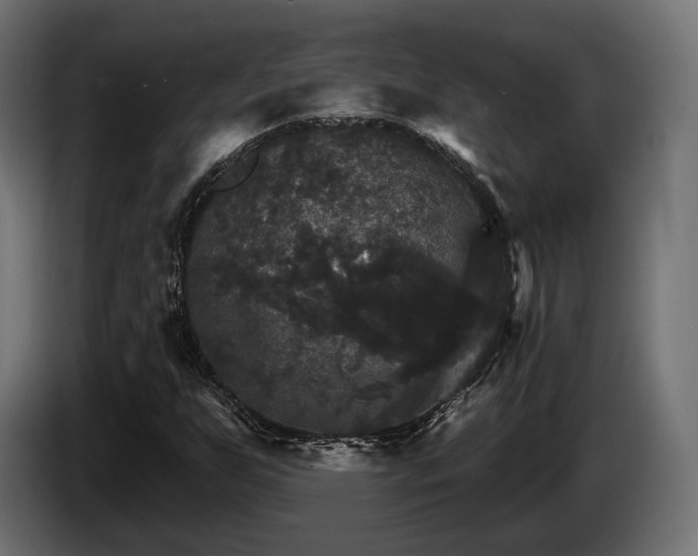 X0000084521255200703021348