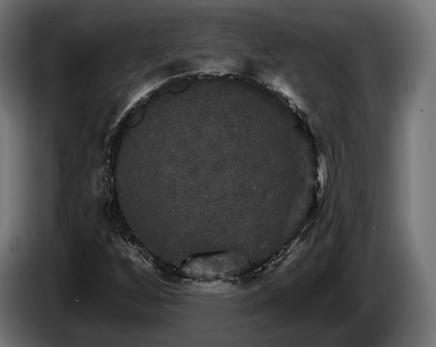 X0000084521256200703021348