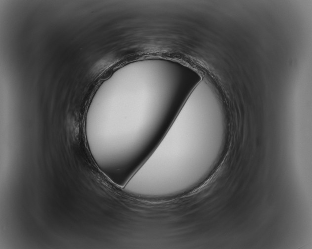 X0000084521257200703021348