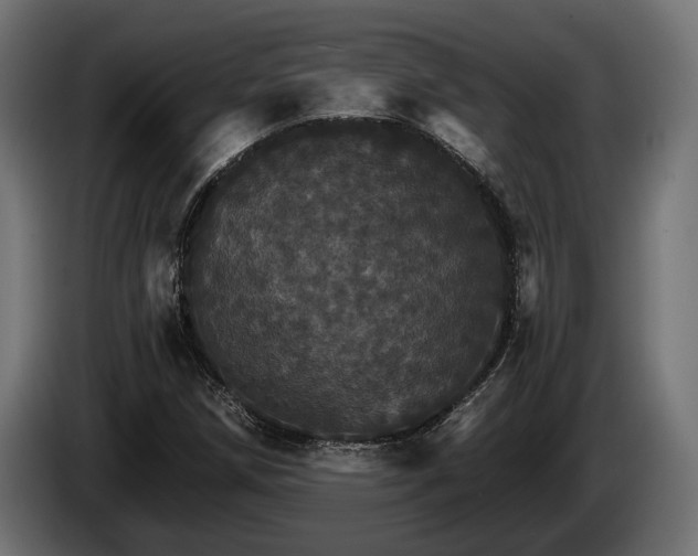 X0000084521258200703021348