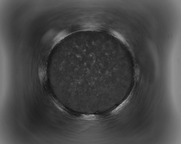 X0000084521259200703021348