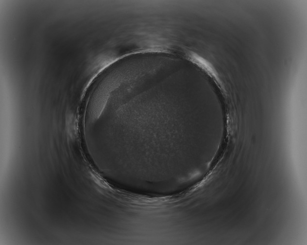 X0000084521260200703021348