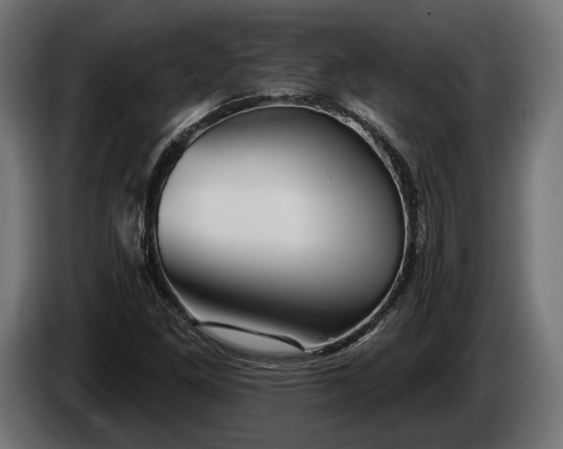 X0000084521261200703021348