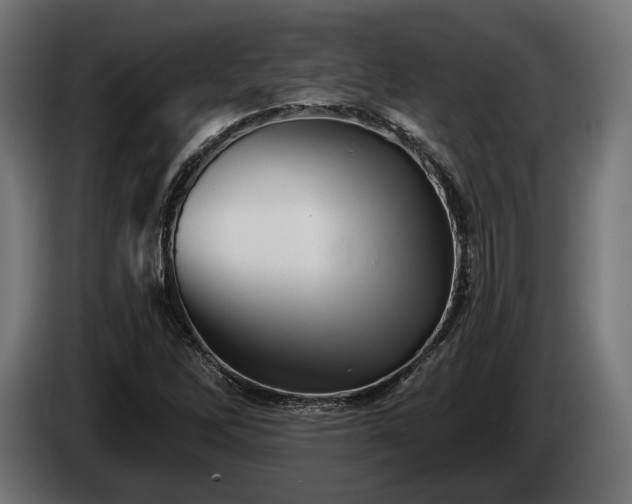 X0000084521262200703021348