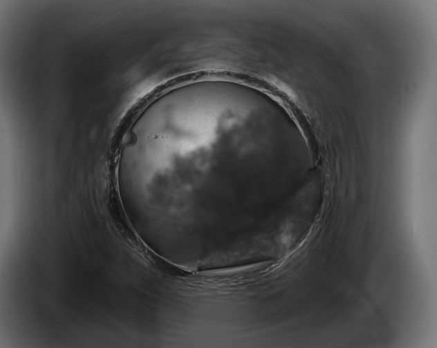 X0000084521263200703021348