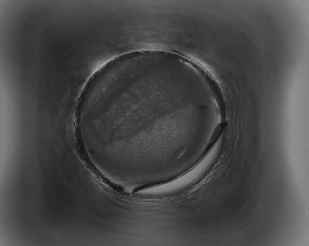 X0000084521264200703021348