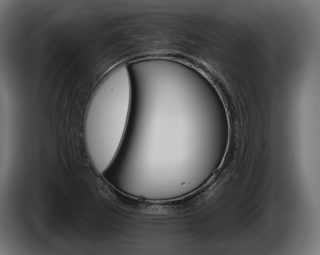 X0000084521265200703021348