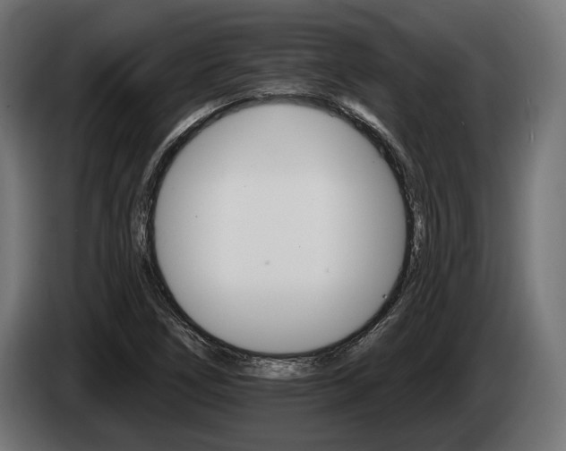 X0000084521266200703021348