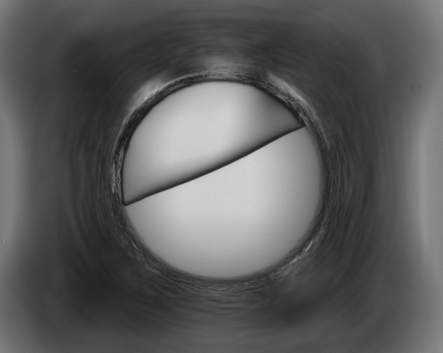 X0000084521267200703021348