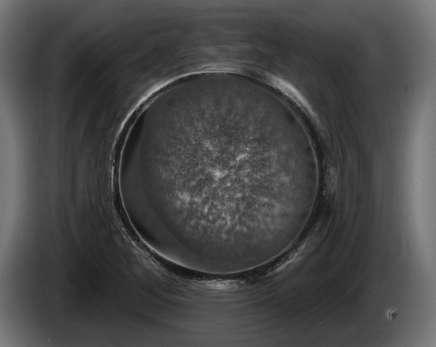 X0000084521268200703021347