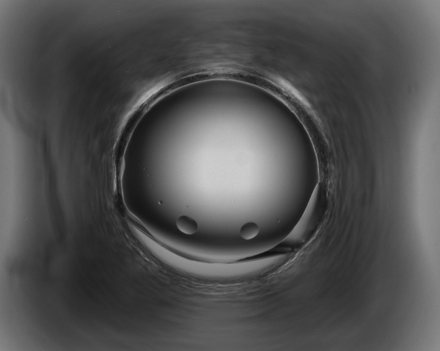 X0000084521269200703021347