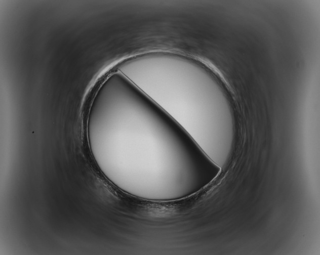 X0000084521270200703021347