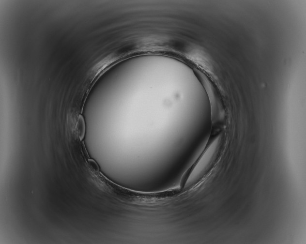 X0000084521273200703021347