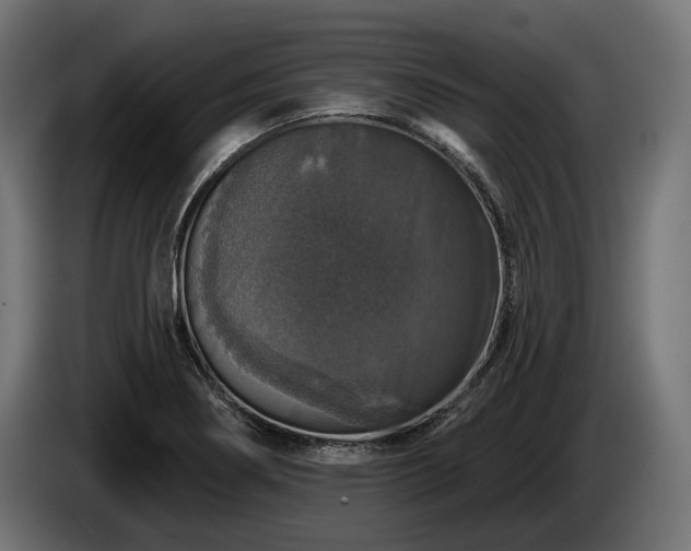 X0000084521274200703021347