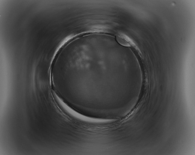 X0000084521275200703021347