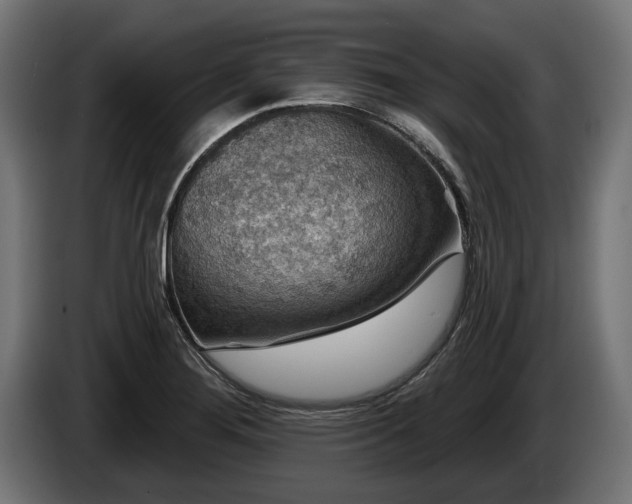 X0000084521276200703021347