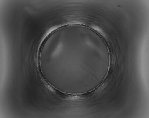 X0000084521278200703021347