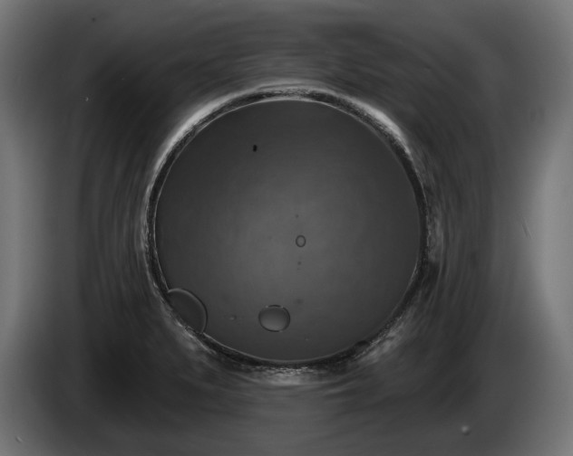 X0000084521279200703021347